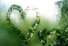 黑白直播在线观看nba-国王逆转雷霆，米切尔送出助攻：精彩比赛背后的故事与精彩瞬间