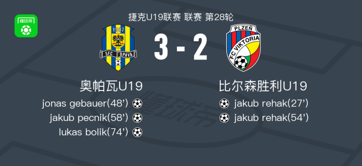 爱沙尼亚队逆转胜利取得胜利